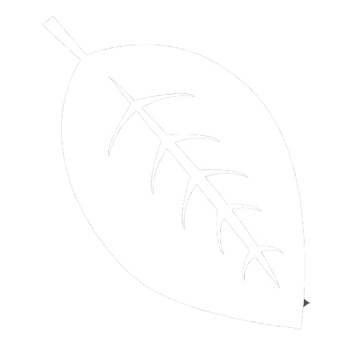 hojaBlanca.png
