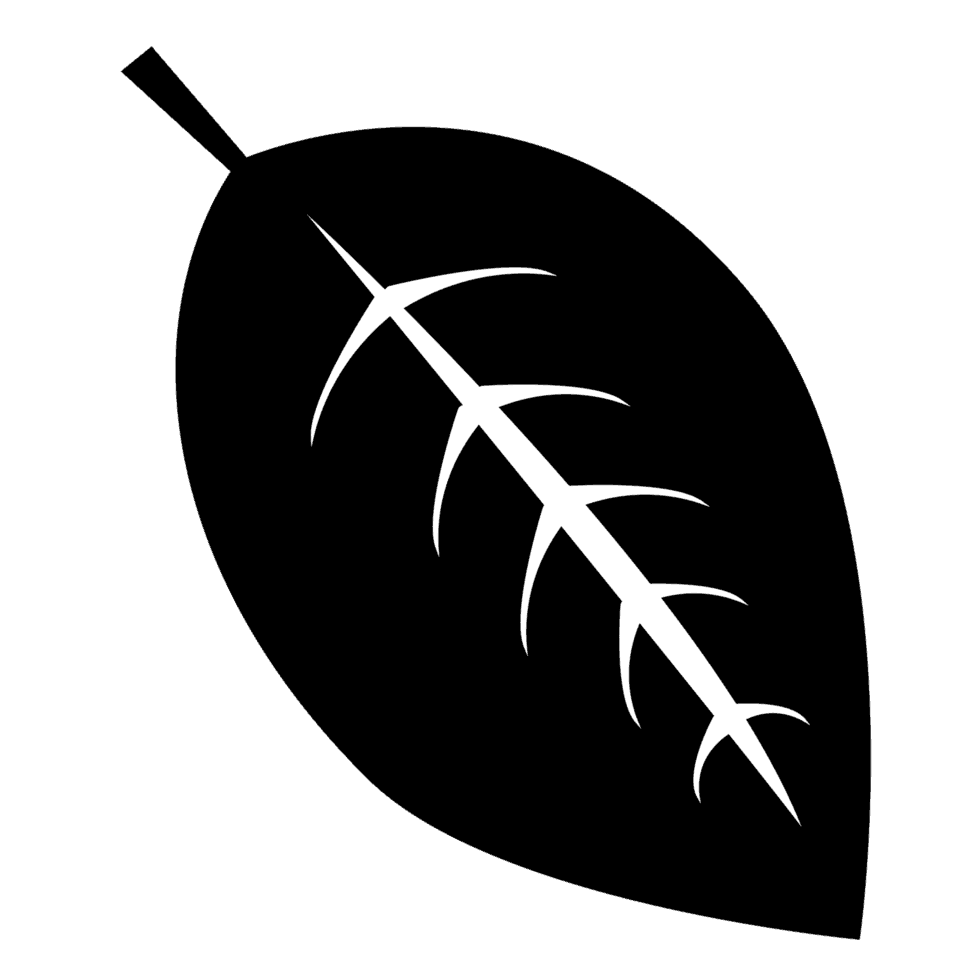 logohoja.png